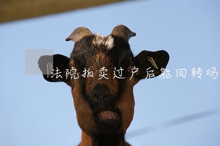 法院拍卖过户后能回转吗 法院拍卖过户后能回转吗