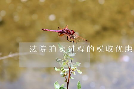 法院拍卖过程的税收优惠 法院拍卖过程的税收优惠