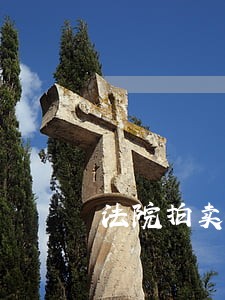 法院拍卖连车带牌照 法院拍卖连车带牌照