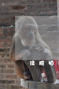 法院拍卖钱怎么拿 法院拍卖钱怎么拿