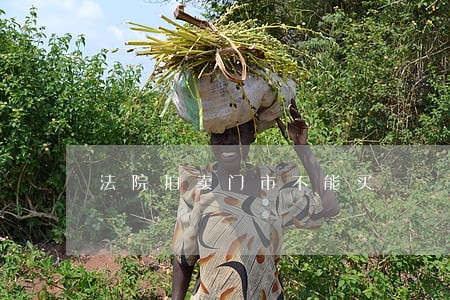 法院拍卖门市不能买 法院拍卖门市不能买