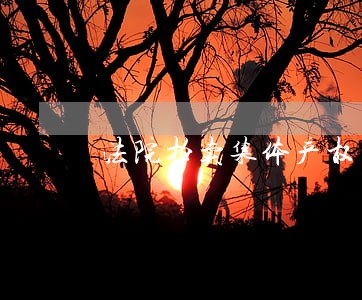 法院拍卖集体产权
