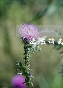法院拍卖需要公示多久 法院拍卖需要公示多久