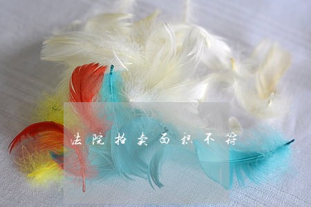 法院拍卖面积不符 法院拍卖面积不符