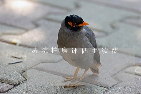 法院拍房评估手续费 法院拍房评估手续费