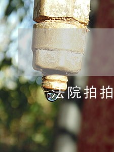 法院拍拍卖网