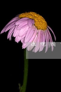 法院拍的房子住的人不走怎么办 法院拍的房子住的人不走怎么办