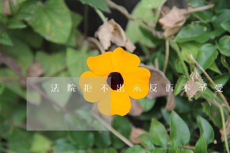 法院拒不出示反诉不予受理裁定书
