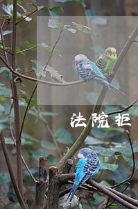 法院拒不执行罪孩子可以出国吗 法院拒不执行罪孩子可以出国吗