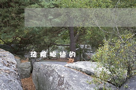 法院拒绝的 法院拒绝的