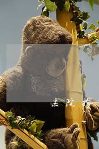 法院拘留多少天 法院拘留多少天
