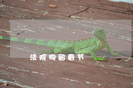 法院拘留春节 法院拘留春节