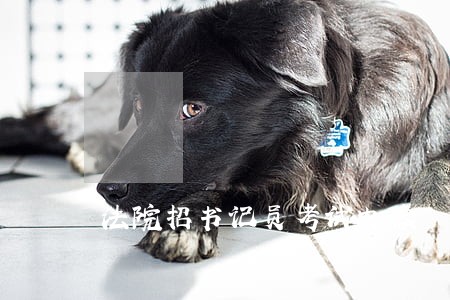 法院招书记员考试内容 法院招书记员考试内容