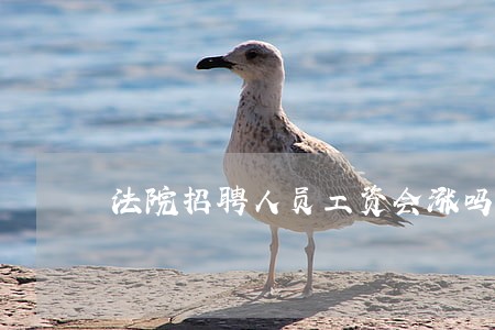 法院招聘人员工资会涨吗