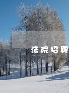 法院招聘广东 法院招聘广东