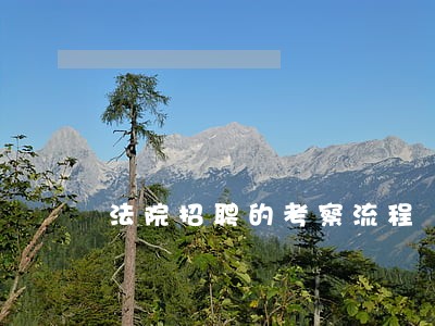 法院招聘的考察流程 法院招聘的考察流程