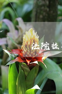 法院挂职锻炼鉴定评语