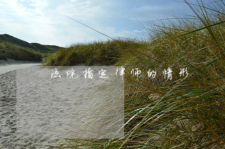 法院指定律师的情形 法院指定律师的情形