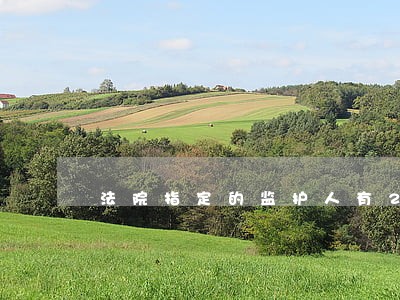 法院指定的监护人有2个 法院指定的监护人有2个
