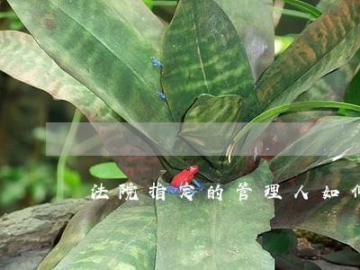 法院指定的管理人如何产生 法院指定的管理人如何产生