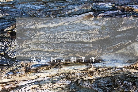 法院指定翻译件
