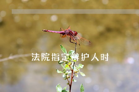 法院指定辩护人时 法院指定辩护人时