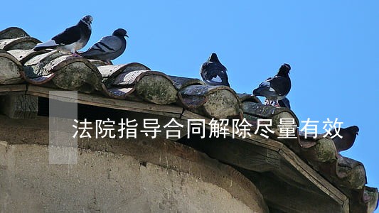 法院指导合同解除尽量有效