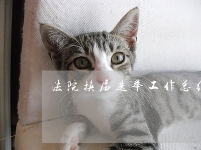 法院换届选举工作总结 法院换届选举工作总结