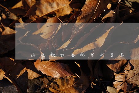 法院授权委托书代签名 法院授权委托书代签名