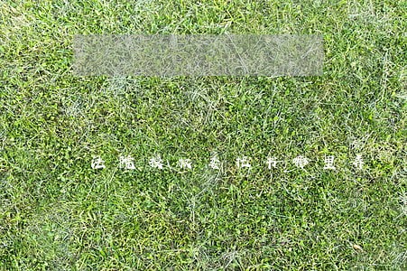 法院授权委托书哪里弄