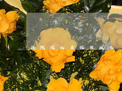 法院授权委托书版本 法院授权委托书版本
