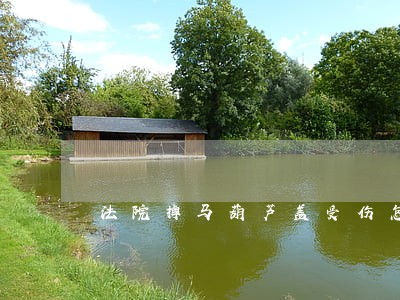 法院掉马葫芦盖受伤怎么办 法院掉马葫芦盖受伤怎么办