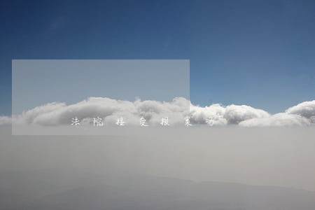 法院接受报案吗 法院接受报案吗