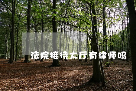 法院接待大厅有律师吗