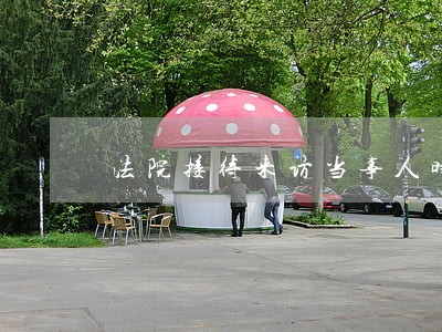 法院接待来访当事人时 法院接待来访当事人时
