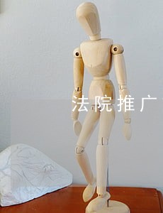 法院推广策划