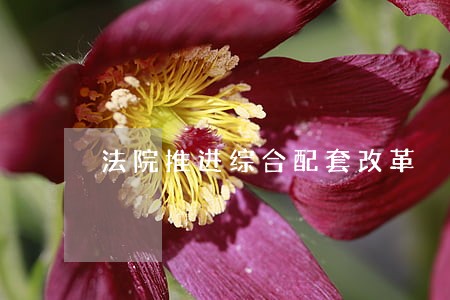 法院推进综合配套改革 法院推进综合配套改革