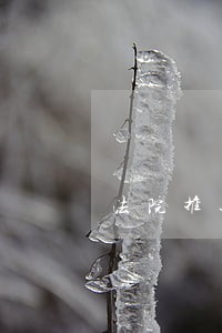 法院推迟审判 法院推迟审判