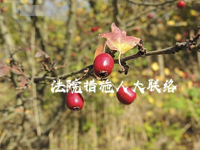 法院措施人大联络