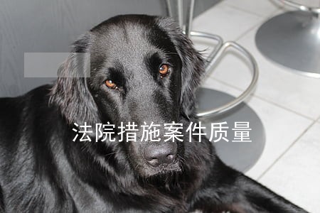 法院措施案件质量