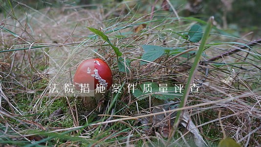 法院措施案件质量评查 法院措施案件质量评查