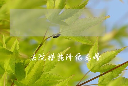 法院措施降低离婚 法院措施降低离婚