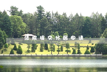 法院提交分居申请 法院提交分居申请