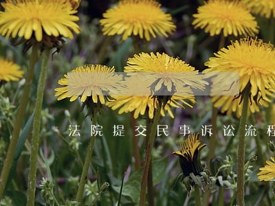 法院提交民事诉讼流程 法院提交民事诉讼流程