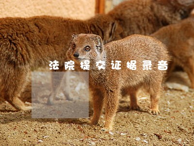 法院提交证据录音 法院提交证据录音