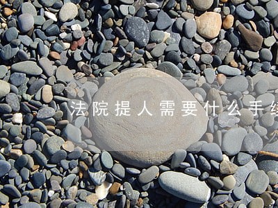 法院提人需要什么手续