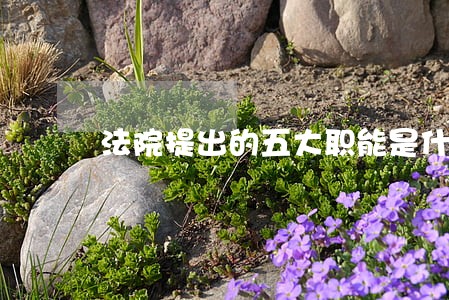 法院提出的五大职能是什么意思 法院提出的五大职能是什么意思