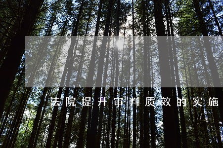 法院提升审判质效的实施意见 法院提升审判质效的实施意见