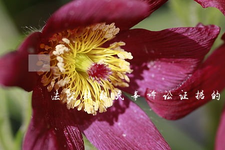法院提取民事诉讼证据的申请 法院提取民事诉讼证据的申请