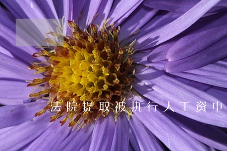 法院提取被执行人工资申请书 法院提取被执行人工资申请书